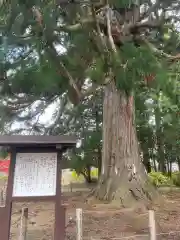 糠部神社の自然