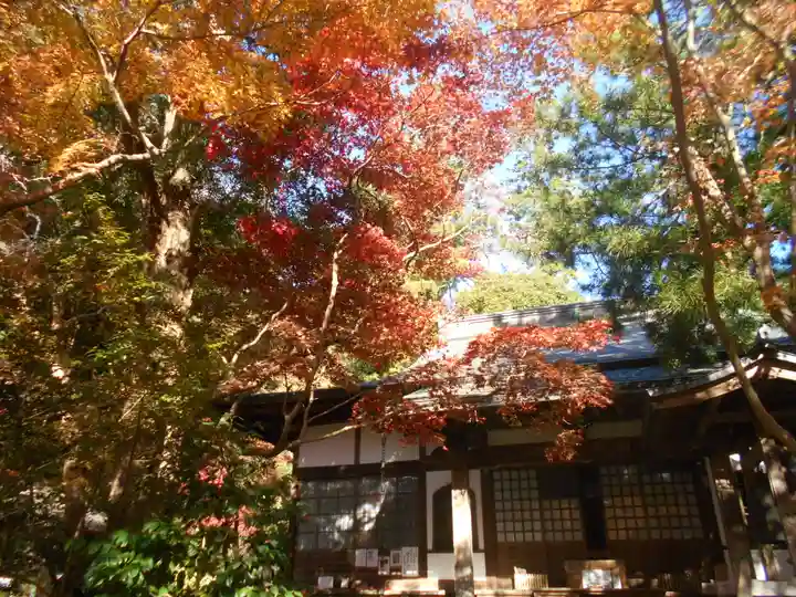 覚園寺(神奈川県)