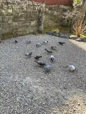 鎮護堂(東京都)