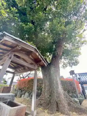 恋塚浄禅寺(京都府)