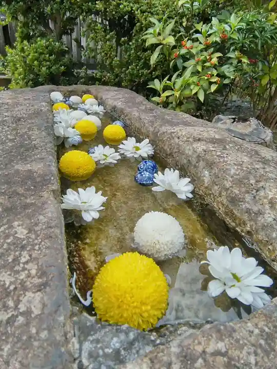 一乗寺の手水舎