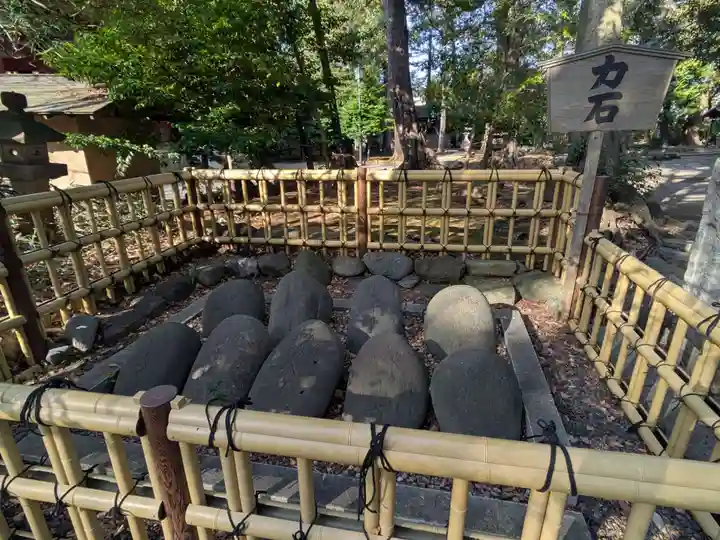 世田谷八幡宮(東京都)