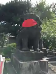 札幌護國神社の狛犬