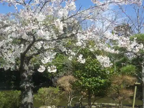 鶴岡八幡宮の自然