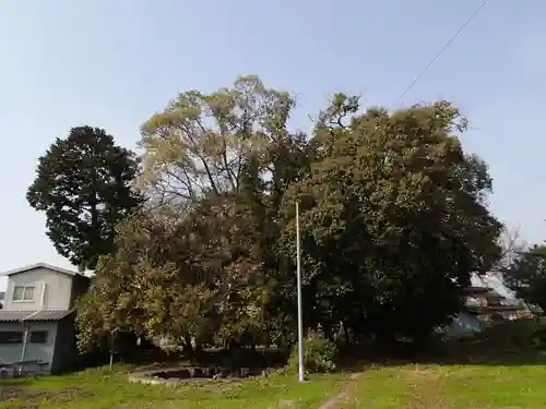 天照御魂神社の景色