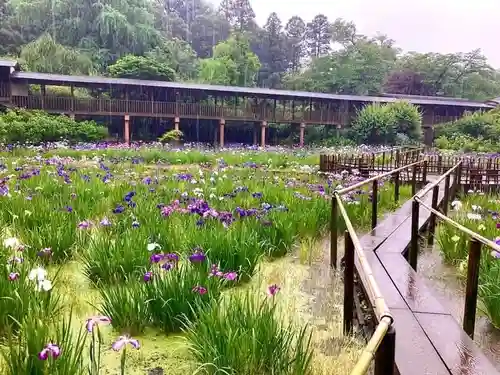 本土寺(千葉県)