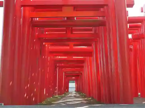 小泉稲荷神社の鳥居