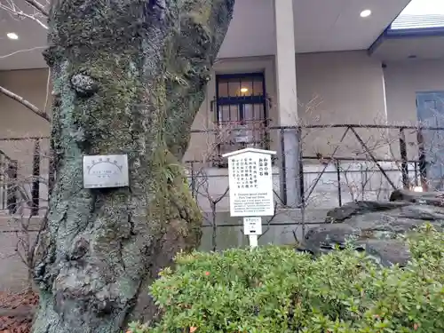 泉岳寺(東京都)