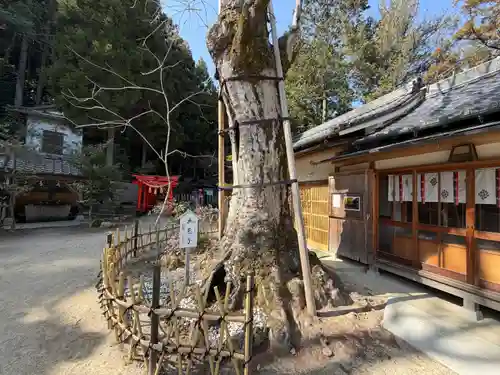 葛城一言主神社(奈良県)
