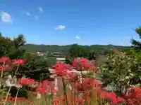 八幡神社の自然