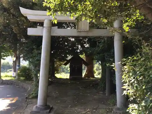 小川泉水神社の鳥居