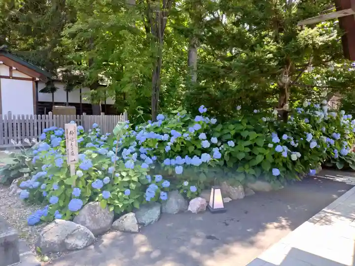 旭川神社の庭園
