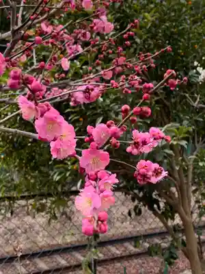 頼光寺(兵庫県)