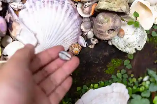 青島神社（青島神宮）(宮崎県)