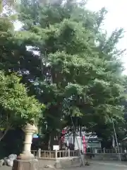 海南神社(神奈川県)