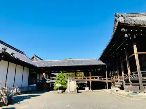 大通寺（長浜御坊）の建物その他