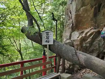 徳善院明王密寺のその他建物