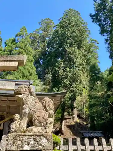 室尾谷神社の狛犬