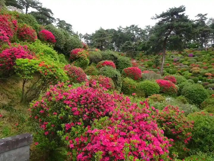塩船観音寺の自然