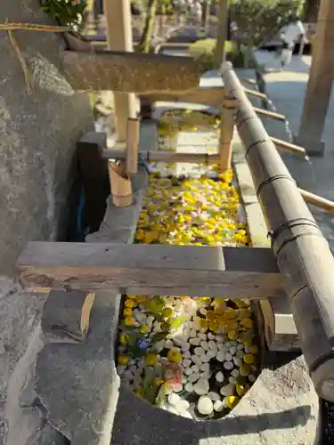 賀茂別雷神社（上賀茂神社）(京都府)