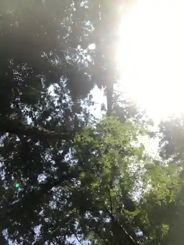 天の岩戸神社の自然