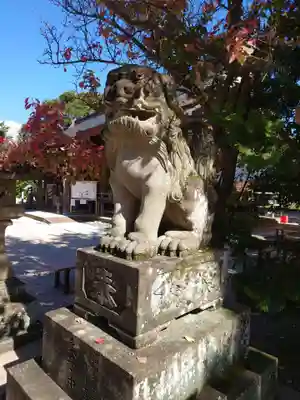 立虫神社の狛犬