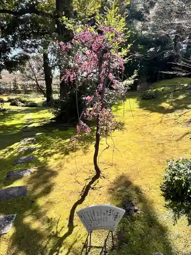 城南宮(京都府)