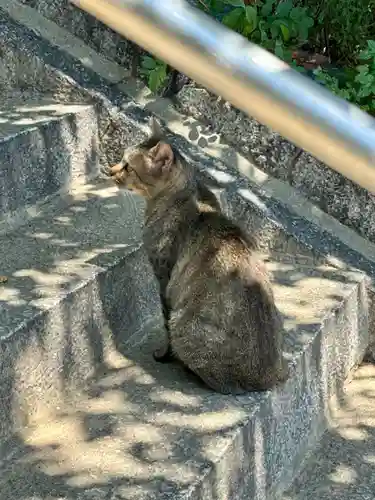 五香宮(岡山県)