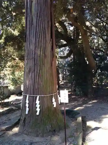 間々田八幡宮(栃木県)