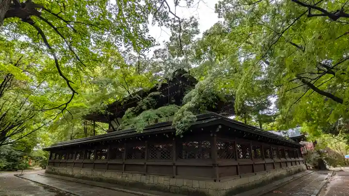 御霊神社(上御霊神社)(京都府)