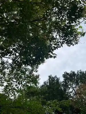 賀茂別雷神社(栃木県)