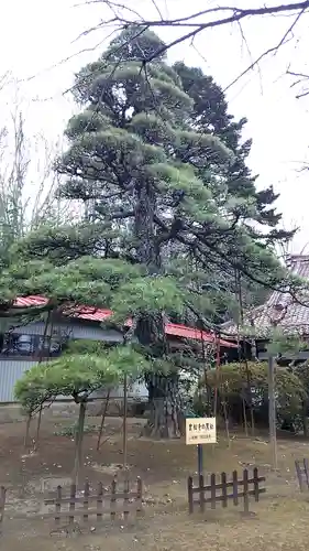 実相寺の建物その他