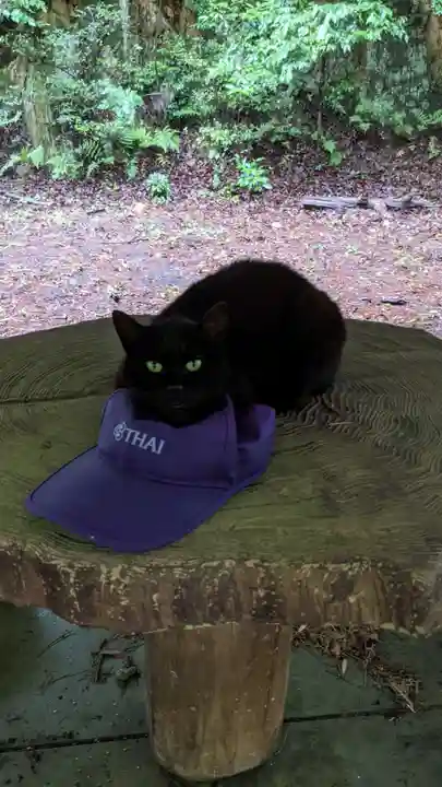 玉野御嶽神社(愛知県)