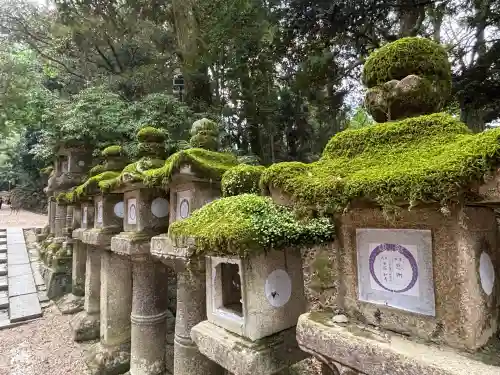 春日大社(奈良県)
