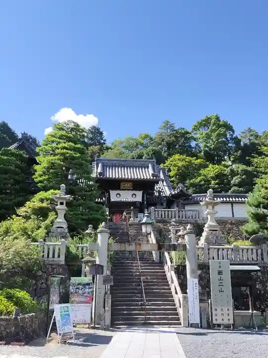 柳谷観音 楊谷寺(京都府)