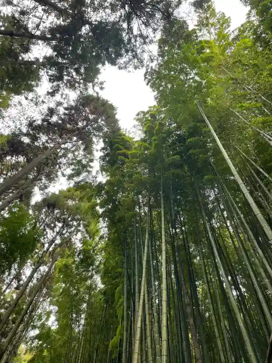 武雄神社(佐賀県)