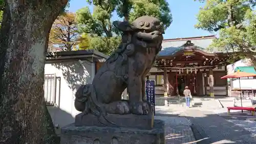 橘樹神社の狛犬