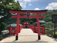 勝尾寺の鳥居