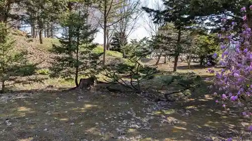 極楽寺の庭園