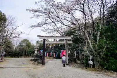 曽野稲荷神社の鳥居