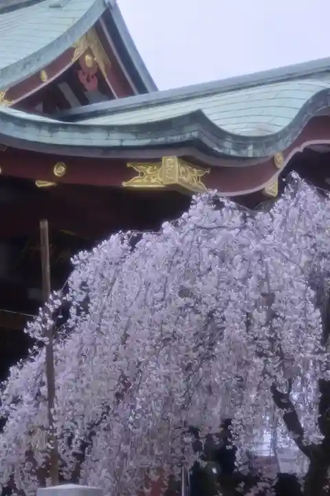 千住神社の自然