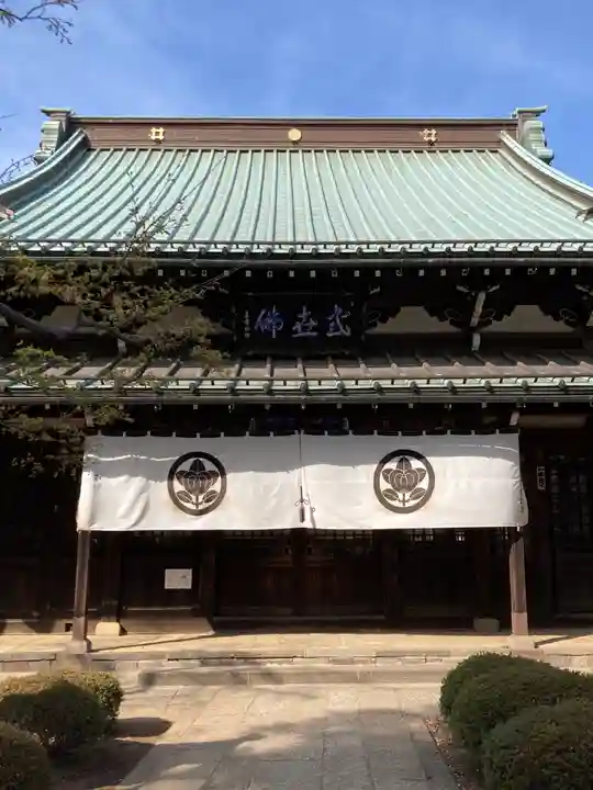 豪徳寺の本殿・本堂