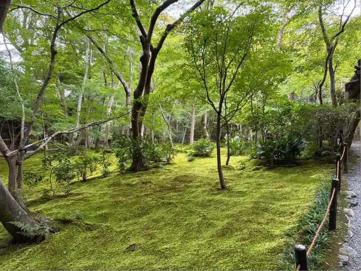 祇王寺(京都府)