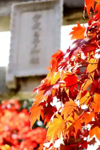 彌彦神社　(伊夜日子神社)の景色