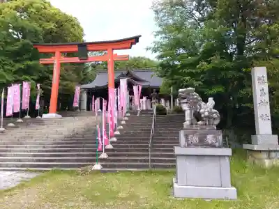 藤島神社（贈正一位新田義貞公之大宮）の{uncategorized: "未分類", other: "その他", undefined: "問題あり", building: "その他建物", grave: "お墓", sacred_gate: "鳥居", guardian: "狛犬", statue: "像", buddha: "仏像", history: "歴史", nature: "自然", garden: "庭園", animal: "動物", pagoda: "塔", temizu: "手水舎", mountain_gate: "山門・神門", sanctuary: "本殿・本堂", subordinate: "末社・摂社", art: "芸術", scenery: "景色", jizo: "地蔵", ema: "絵馬", goshuin: "御朱印", omikuji: "おみくじ", items: "授与品その他", amulet: "お守り", goshuincho: "御朱印帳", eats: "食事", festival: "お祭り", votive_dance: "神楽", shichigosan: "七五三参", wedding: "結婚式", experience: "体験その他", initially: "初詣", around: "周辺", anti_infection: "感染症対策"}