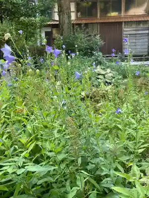 国上寺(新潟県)