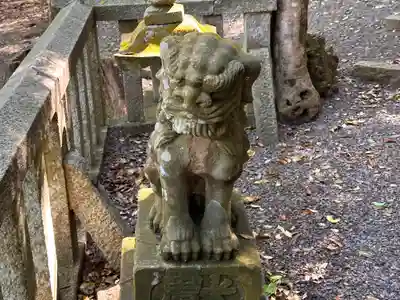 黒駒神社(福井県)