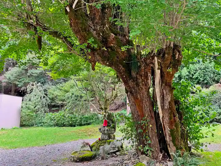 羽賀寺(福井県)