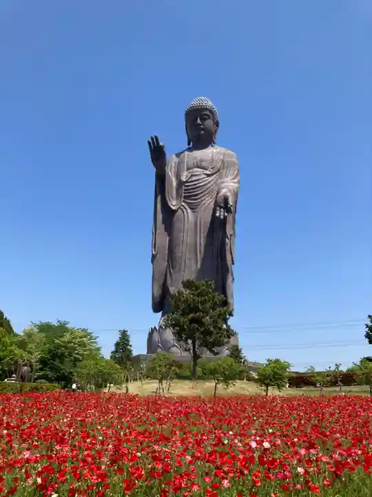 東本願寺本廟 牛久浄苑(牛久大仏)(茨城県)