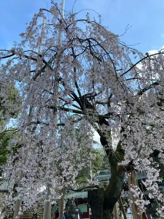 大國魂神社(東京都)